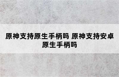 原神支持原生手柄吗 原神支持安卓原生手柄吗